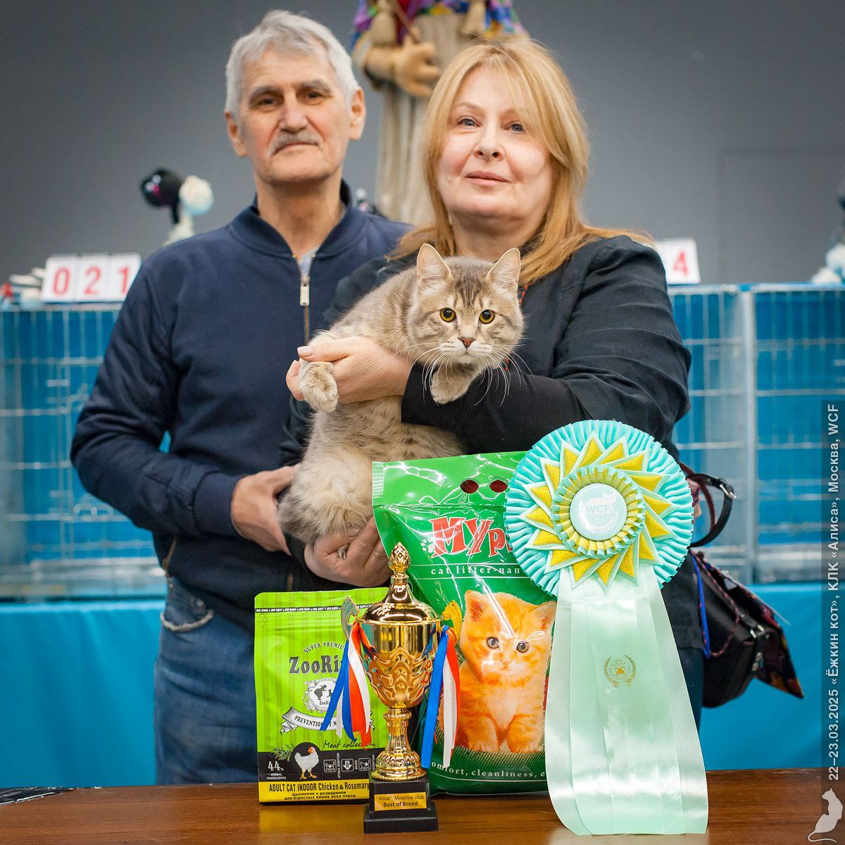 Kurilian Bobtail Cattery Russia